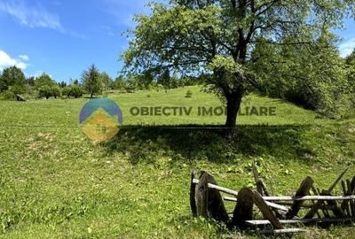Teren 11557 mp comuna Ceahlau - 2