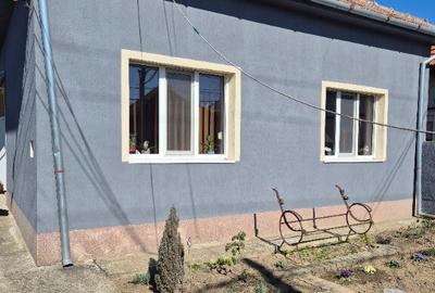 Casa Aleea Ghirodei Timisoara