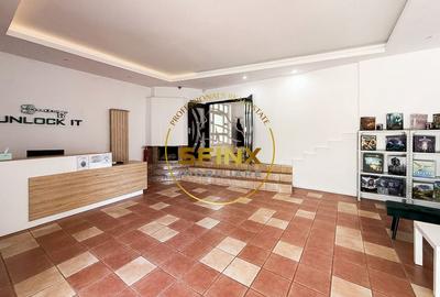 9 camere, Duplex, Parcul Circului, garaj - 3