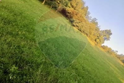 Teren agricol extravilan de 6699 mp, în Breb