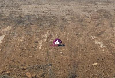 Teren 55.500 mp Snagov Lac - 6