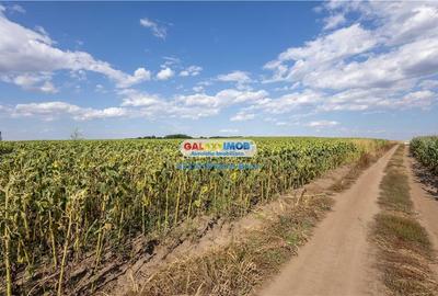 Teren agricol extravilan 2.6 ha - 26.000 mp - Valcelele, Buzau - 11