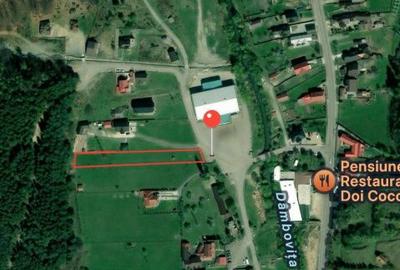 Teren de 1962 mp, în Rucăr - 3