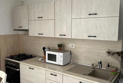 Apartament cu 2 camere semidecomandat în Ozana - 7