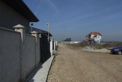 Domnesti-Ciocarliei(Afinului-Fragilor). - 2