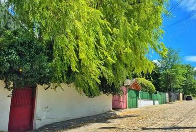 Casă cu 6 camere cu Teren 2000 Mp în Babadag - 3