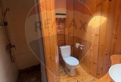 Casă cu 14 camere cu Teren 62330 Mp în Horea - 11