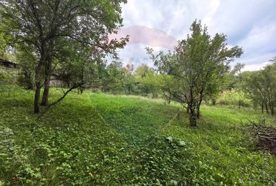 Casa traditionala De Vanzare cu 5 Hectare de teren - 14