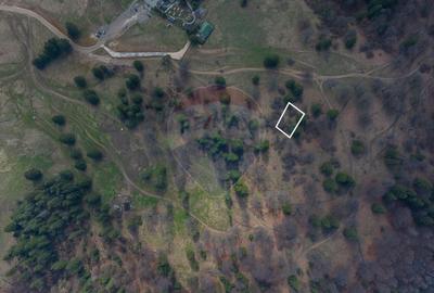 Teren Construcții intravilan de 1000 mp, în Poiana Brașov - 5