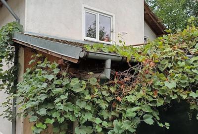 Casă cu 4 camere cu Teren 1690 Mp în Lipia - 4