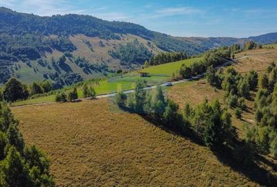 Teren Construcții intravilan de 1000 mp, în Muntele Băișorii - 11