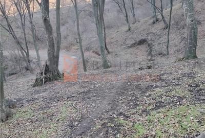 Teren de 1000 mp, în Merei - 1