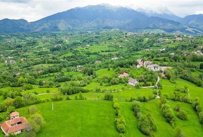 Film! Domeniu pe 11.000mp intravilan, panorama montana,Bran,Sohodol - 7