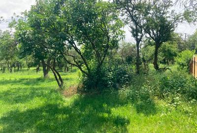 Vând teren intravilan cu casă locuibilă, Butimanu, Dâmbovița – 3.900 m² - 4