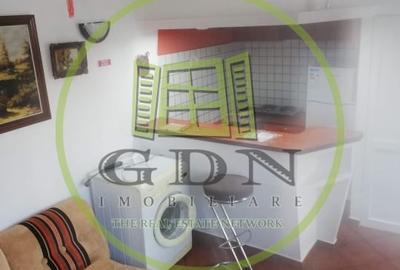 Apartament cu 2 camere decomandat, mobilat în Sub Arini - 5