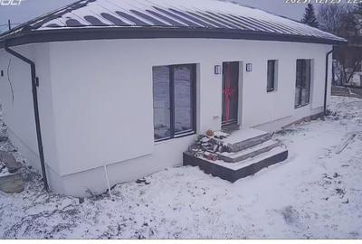 Comana, padurea Parcul Natural Comana, Vlad Tepes, Giurgiu - 7