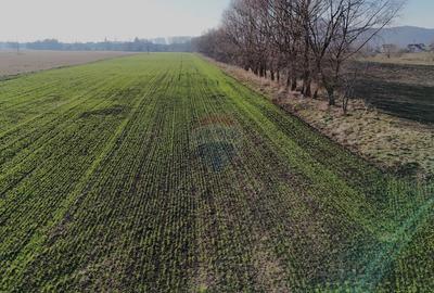 Teren agricol extravilan de 15482 mp, în Hărman - 8