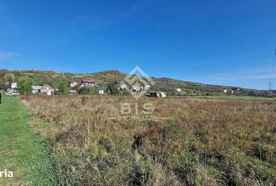 Spațiu comercial, în Unirea - 10