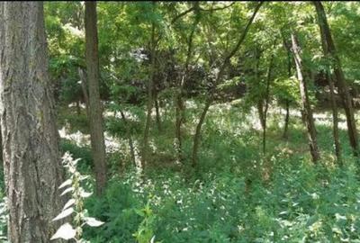 Teren Didesti, ID: R2058941 - 4