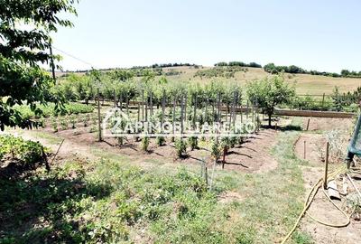 Teren Construcții intravilan de 1300 mp, în Dâmbu Pietros