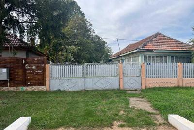 Spațiu comercial, în Ciolpani - 5