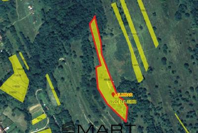 Teren extravilan 5500 mp, la padure zona Selimbar (Mohu) - 3
