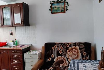 Inchiriere apartament Bra?ov - 4