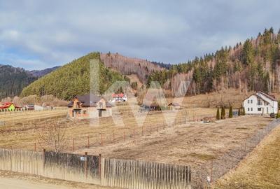 Casa in Zarnesti - Ideala pentru Locuire sau Investitie Turistica! - 2