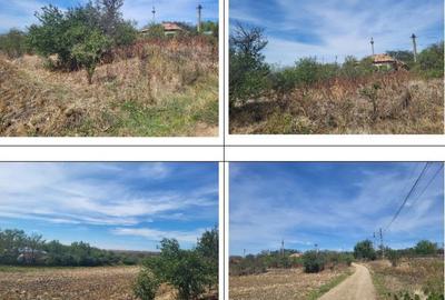 Casă cu 2 camere cu Teren 1691 Mp în Guruieni - 14
