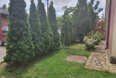 Apartament cu 3 camere decomandat în Central - 8