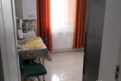 Apartament cu 2 camere decomandat în Lunca Cetățuii - 8