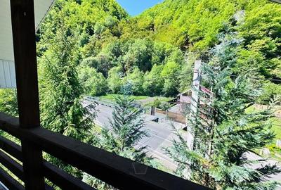 Pensiune + Vila pe malul raului Lotru-Malaia,Valcea - 15