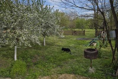 Casă cu 2 camere cu Teren 80 Mp în Alexeni - 7