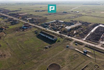 Hală industrială cu teren generos în Zărand, Arad - 33