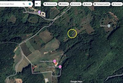 Teren de 2200 mp, în Dăești - 3