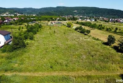 Teren de 4600 mp, în Bujoreni - 2