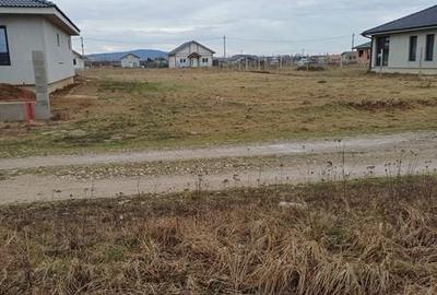 Teren de 800 mp, în Oșorhei - 4