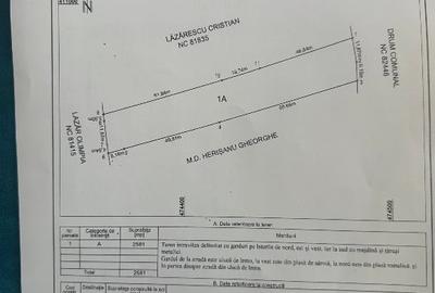 Teren agricol intravilan de 2581 mp, în Albeștii de Argeș - 1