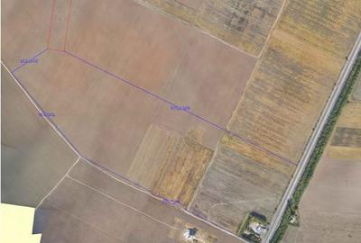 Vanzare teren 14700mp Adunatii Copaceni - 2