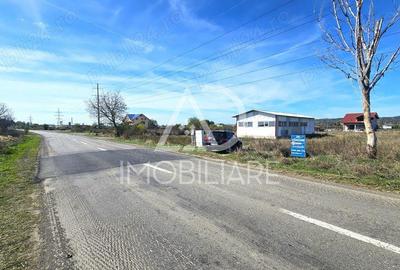 Teren în Narciselor - 1