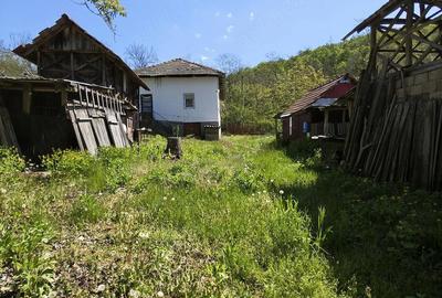 Casă cu 3 camere cu Teren 1400 Mp în Nicolae Bălcescu - 4