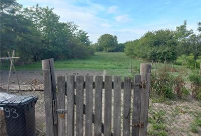 Casă cu 3 camere în Gaiu Mic - 4