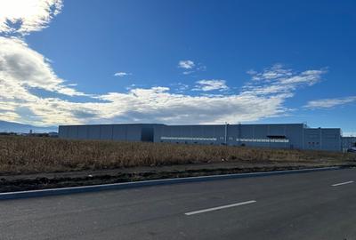 Teren Construcții intravilan de 18900 mp, în Industrial Vest - 5