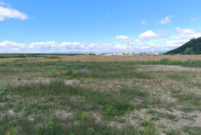 Teren industrial cu PUZ de vânzare in Brașov - 6