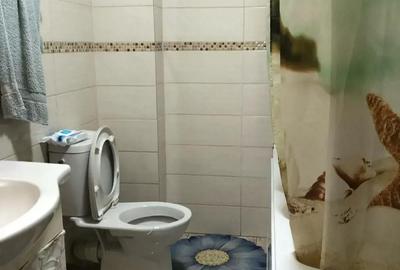 Apartament cu 3 camere decomandat în Rahova - 5