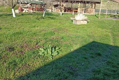 Spațiu comercial, de 1,402 mp, în Recea - 11