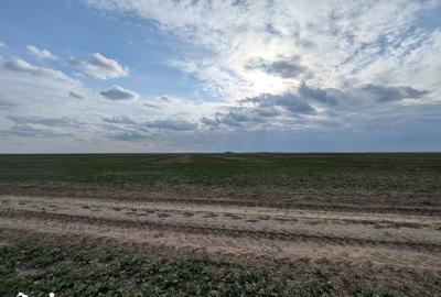 Teren de 300 mp, în Vărăști - 4