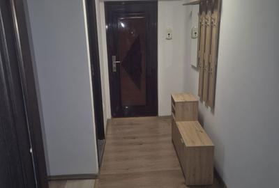 Garsonieră decomandată în Brazda lui Novac - 4