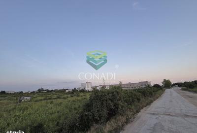 Teren de 23943 mp, în Clinceni - 2