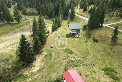 Teren Voronet 4700mp INTRAVILAN | Gura Humorului | Bucovina - 5